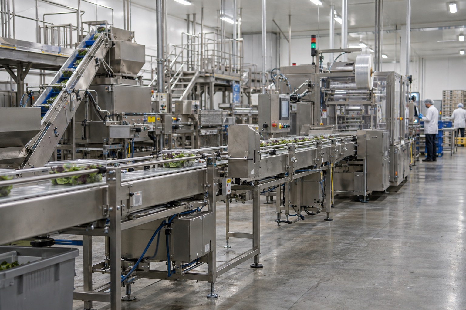 Food processing conveyor line with workers monitoring equipment